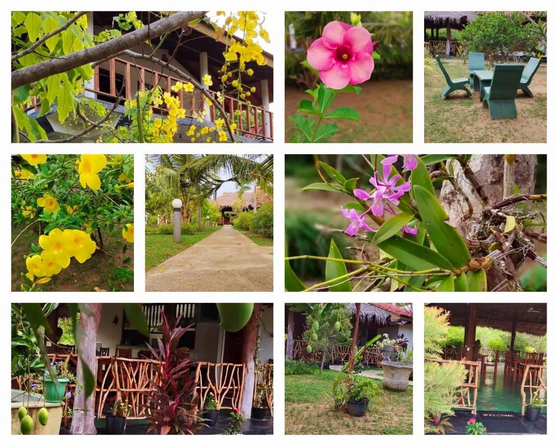 Pearl Cave Cabanas & Resturant Tangalle Esterno foto